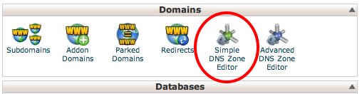 Simple DNS Editor